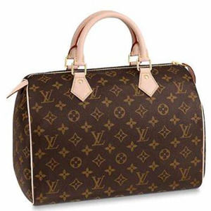 💎✨MINT✨💎 Louis Vuitton Speedy 30 Monogram